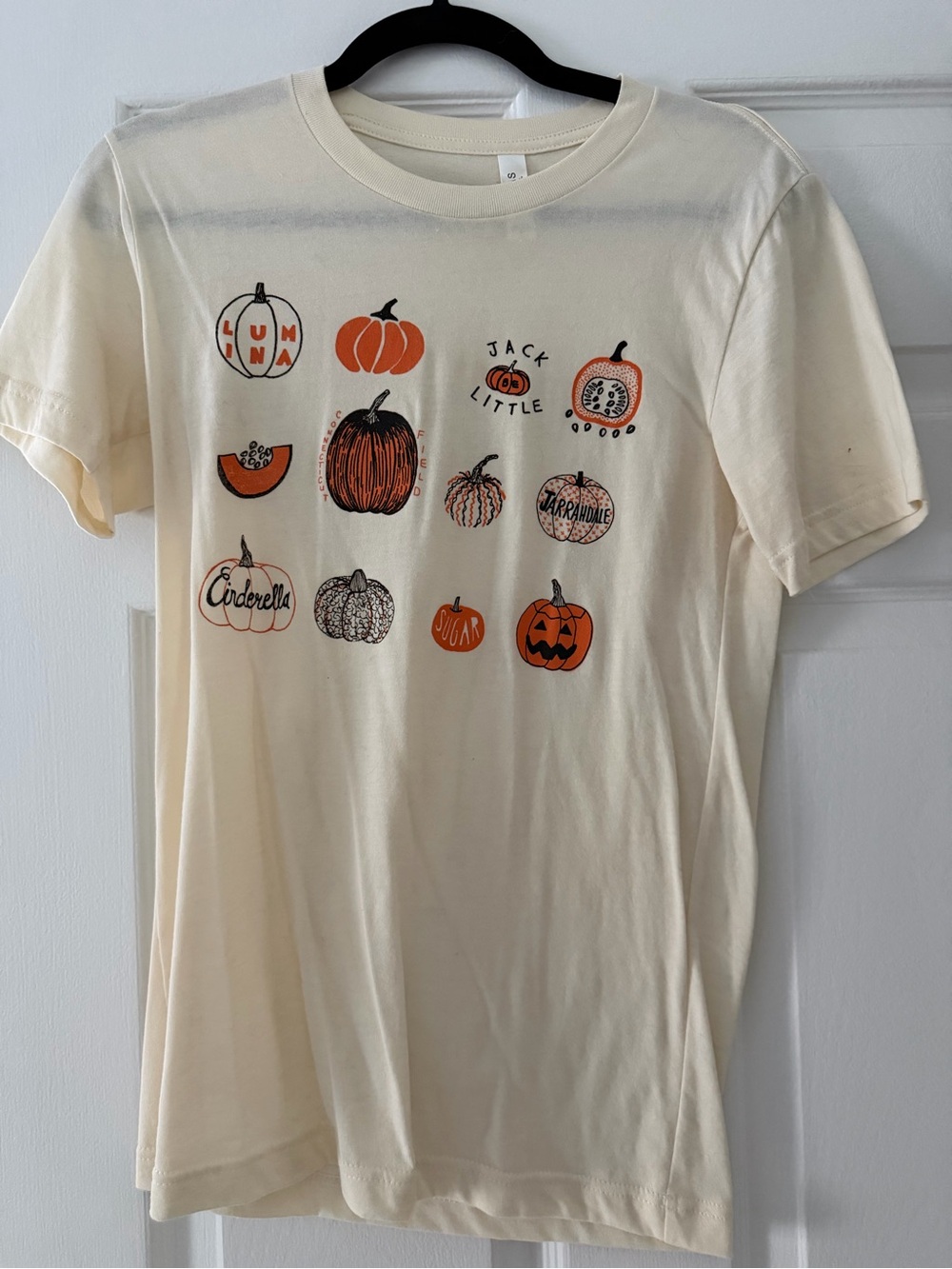 Pumpkin T Shirt - Picture 6 of 6